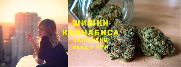 сатива Ростов