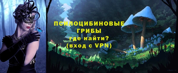 герыч Россошь